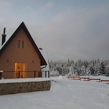 Mountain House Popovic Tara Villa Bajina Basta Exterior photo