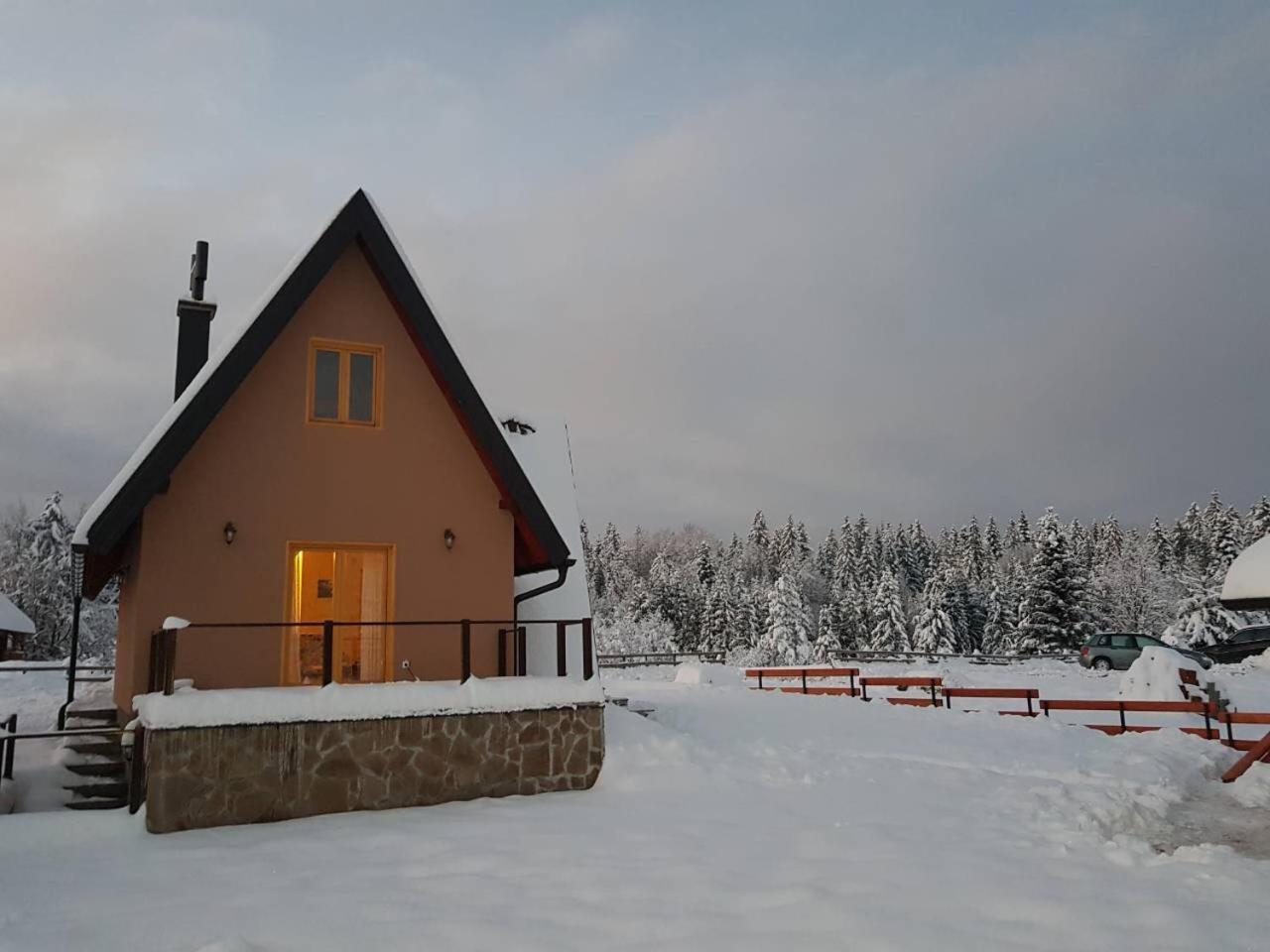 Mountain House Popovic Tara Villa Bajina Basta Exterior photo