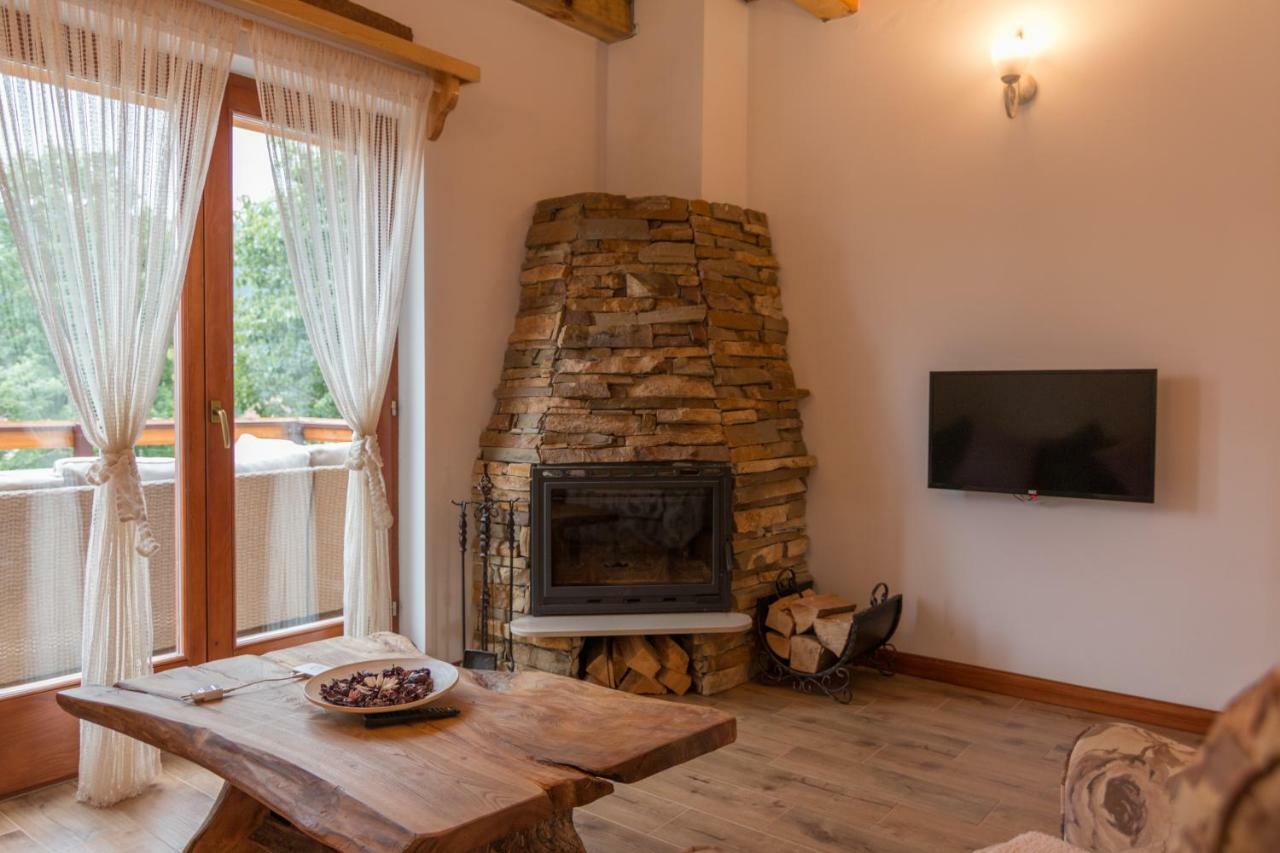 Mountain House Popovic Tara Villa Bajina Basta Exterior photo