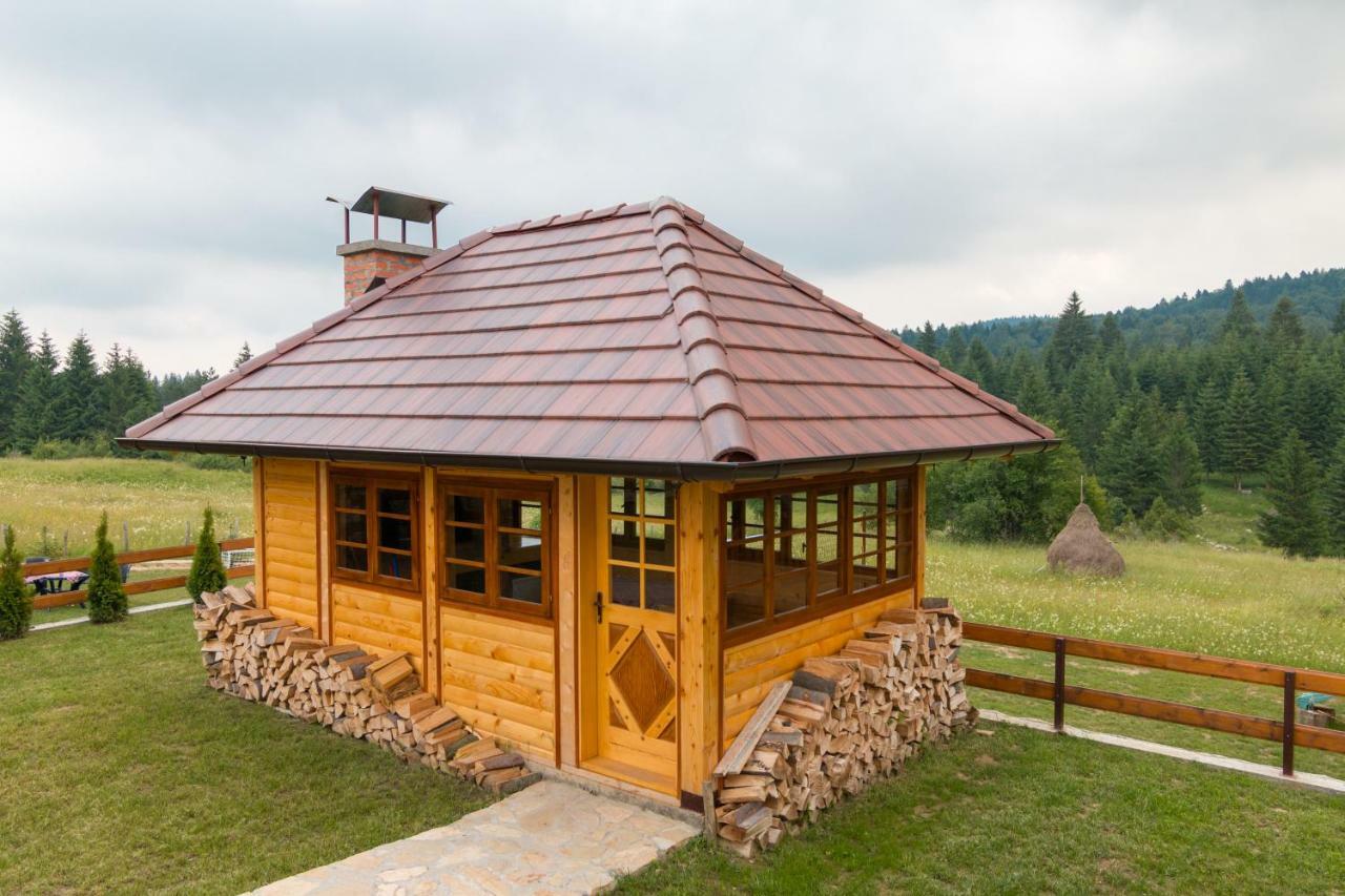 Mountain House Popovic Tara Villa Bajina Basta Exterior photo