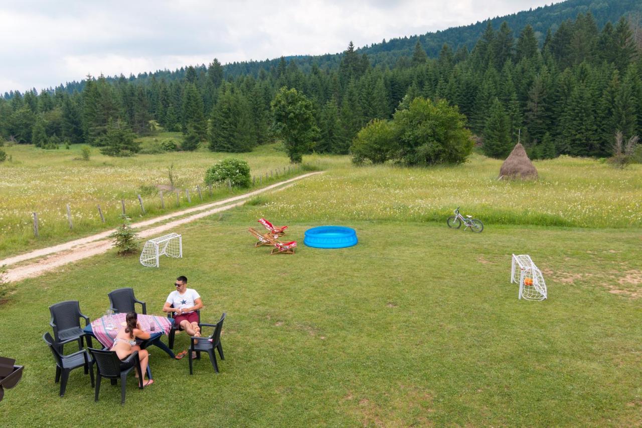 Mountain House Popovic Tara Villa Bajina Basta Exterior photo